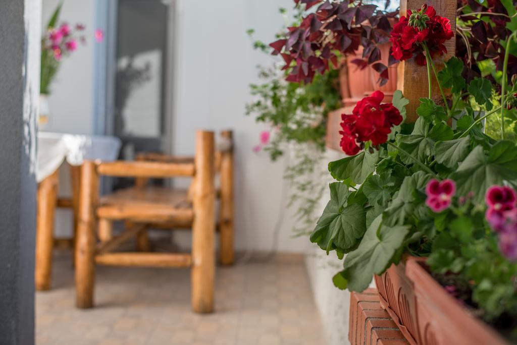 Guesthouse Juli Сапарева Баня Екстериор снимка