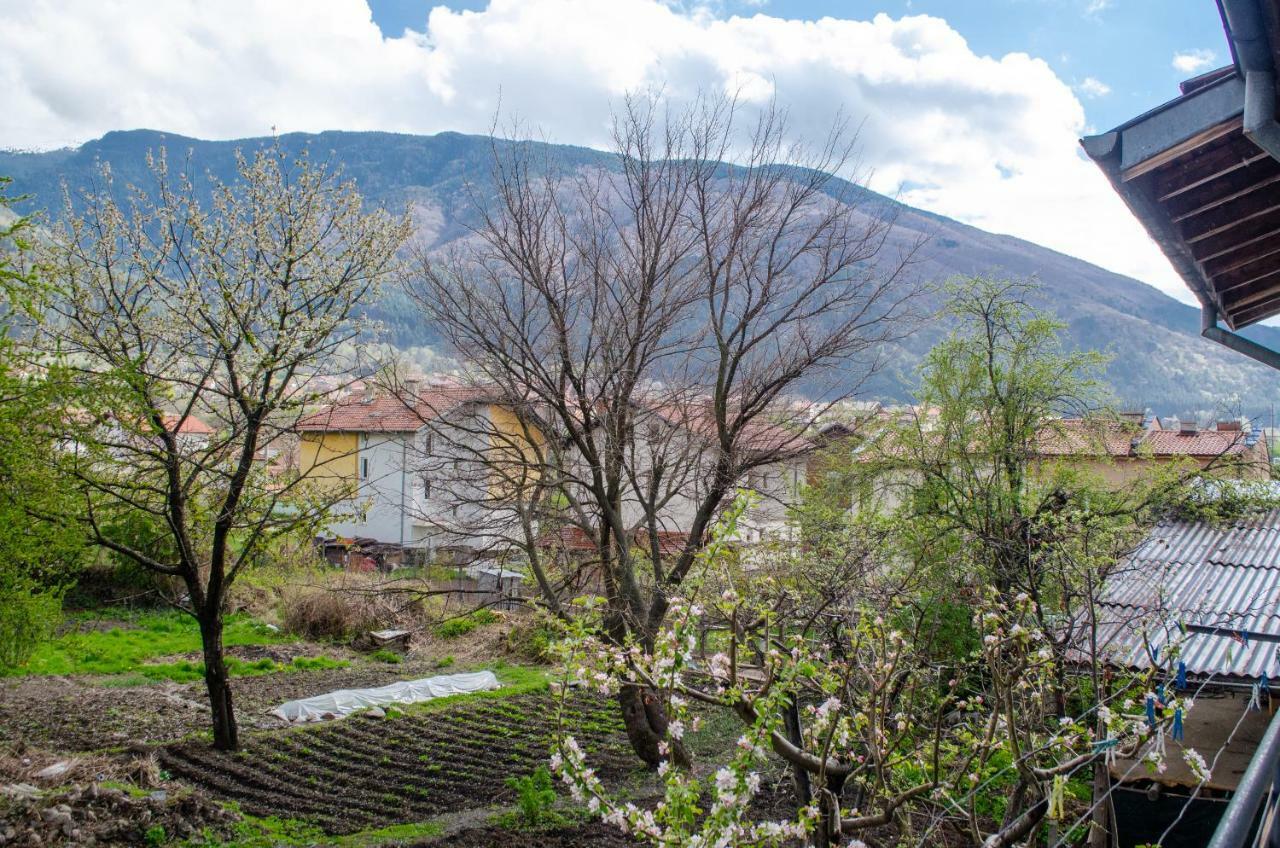 Guesthouse Juli Сапарева Баня Екстериор снимка